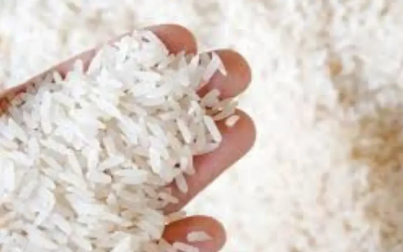 تراجع أسعار الأرز في المنيا تحت رقابة التموين وحماية المستهلك